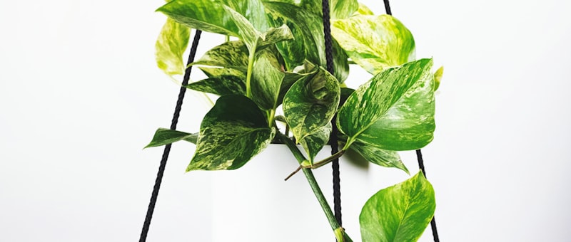 英格兰对阵西班牙足球比赛直播画面 - 欧洲杯预选赛